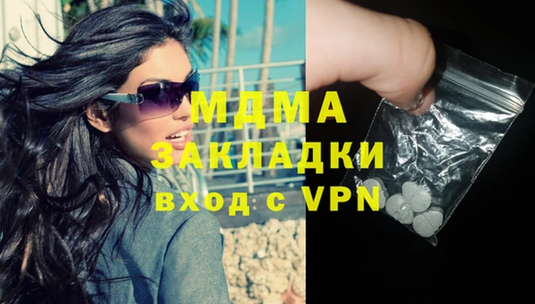 шишки Белокуриха