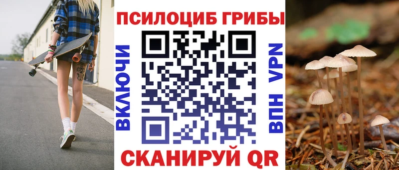 где купить   Печора  kraken ТОР  Псилоцибиновые грибы GOLDEN TEACHER 
