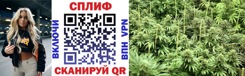 Канабис ГИДРОПОН  mega ТОР  Печора 